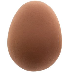 Brood Eggs Rubber Brown pair