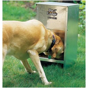 Dog Feeder Chow Hound 5kg
