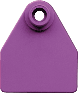 Allflex Visual Tag - Small Female