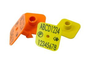 Allflex NLIS Pig Littermax Tags - Female and Male Button Combo