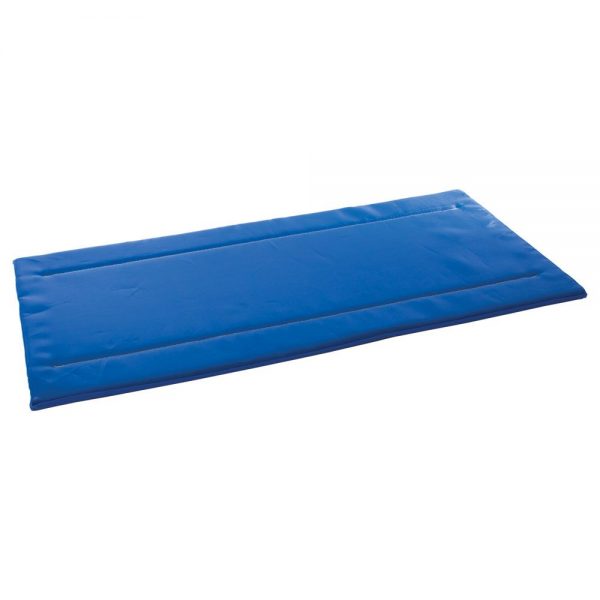 Disinfection Mat 85 x 180cm blue