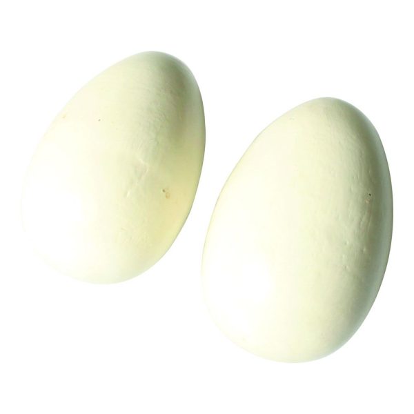 Brood Eggs China 10-pack