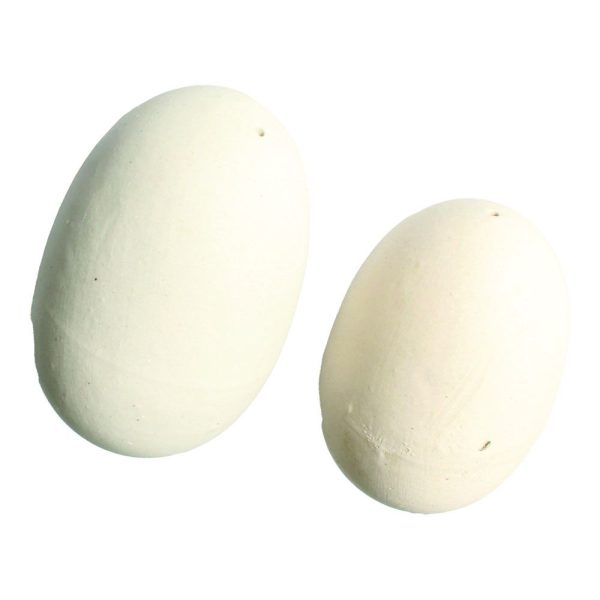 Brood Eggs Painted 10-pack