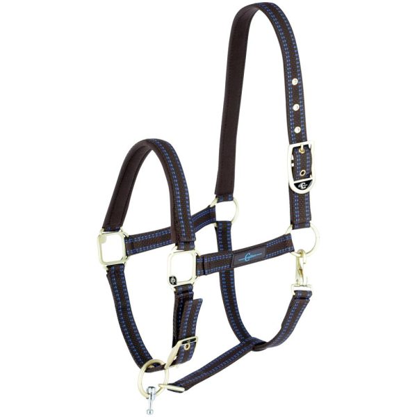 GoLeyGo Horse Halter cpt Sz00 Brown/LBlu