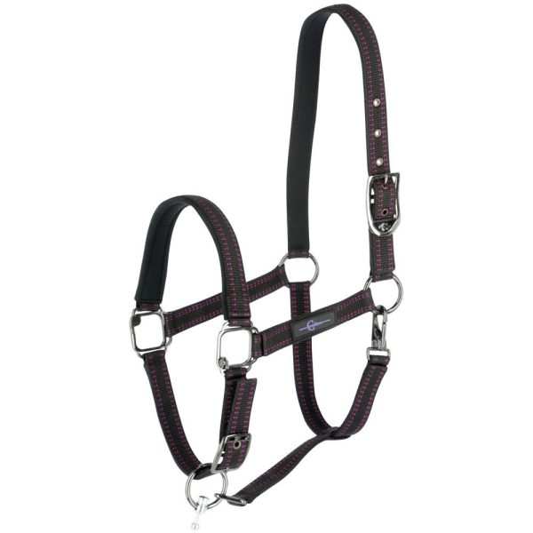 GoLeyGo Horse Halter cpt Sz1 Black/Fuch