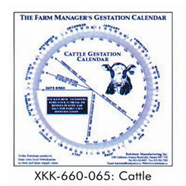 Gestation Calendar – Lamb