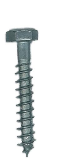 Coach Screw 12mmx75mm (Hot Dipped)