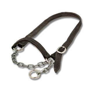 Halter Dexter Small (5 colours - call cust serv to confirm availability)