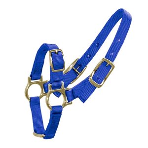 Halter for Sheep & Goats - Blue