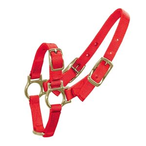 Halter for Sheep & Goats - Red