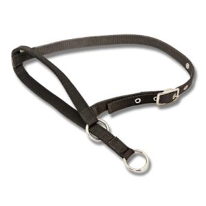 Halter Leading Calf - Black