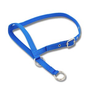 Halter Leading Cow - Blue