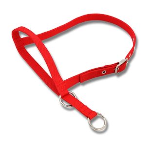 Halter Leading Cow - Red