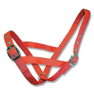 Cattle Halter Webbing Calf - Red