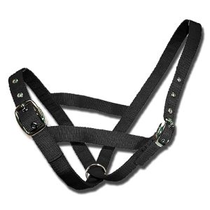 Cattle Halter Webbing Heifer - Black