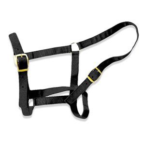 Horse Halter - Full Black