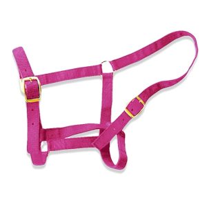 Horse Halter - Full Pink