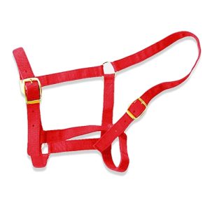 Horse Halter - Full Red