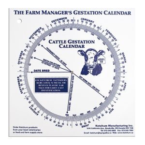 Gestation Calendar - Cow