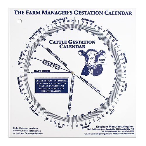 Gestation Calendar – Cow