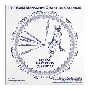 Gestation Calendar - Equine
