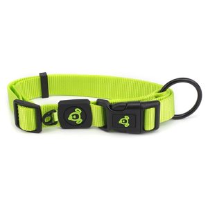 Nylon Dog Collar Premium - Extra Small Green