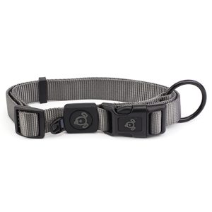 Nylon Dog Collar Premium - Extra Small Grey