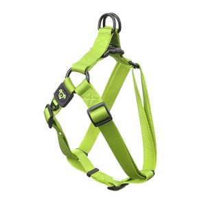 Nylon Step in Harness Premium - Large Green