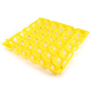 Poultry Egg Tray Plastic - 30 Egg