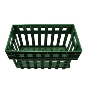 Egg Transport Box - Large