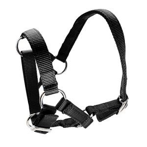 Halter for Alpacas - Black