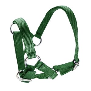 Halter for Alpacas - Green