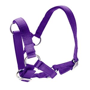 Halter for Alpacas - Purple