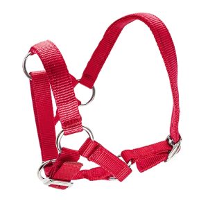 Halter for Alpacas - Red