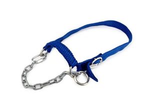 Halter Dexter Large
