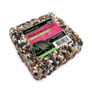 Treat Block - Mealworms & Seeds