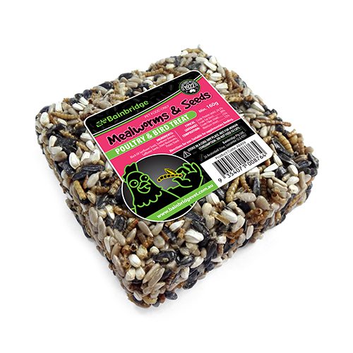 Treat Block – Mealworms & Seeds