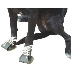 Dog Boots and Socks