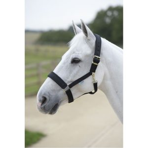 Bucas Comfort Halter Pony Black/Black