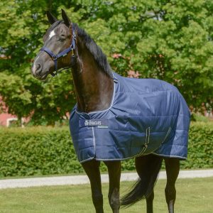 Bucas Rug Quilt 300g S/D 135cm/6'0