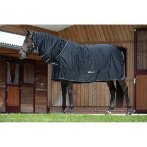 Bucas Cooler Shamrock FN Black 155cm/6'9