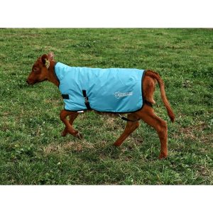 Antahi Thermoo Large Light Blue