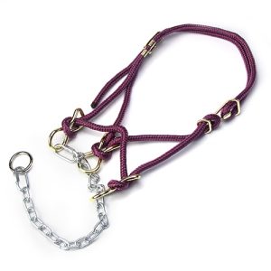 Hackamore Halter Calf - Maroon