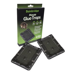Mouse Glue Trap (4 Pack)