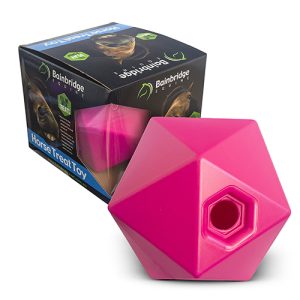 Horse Toy - Treat Ball (Small) - Pink