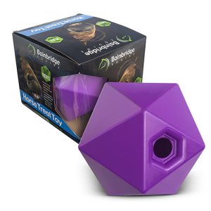 Horse Toy - Treat Ball (Small) - Purple