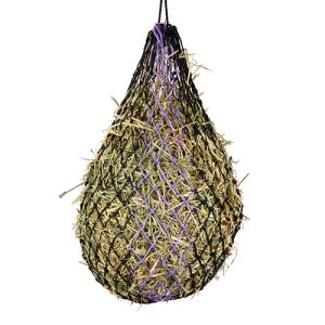 Hay Net Slow Feeder - 106CM - 3.6CM - Black/Purple