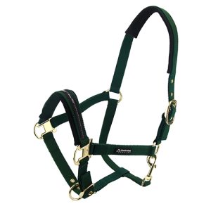 Horse Halter - Pony - Green