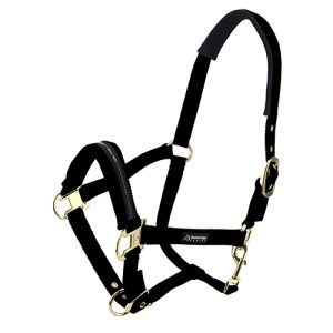 Horse Halter - Cob - Black