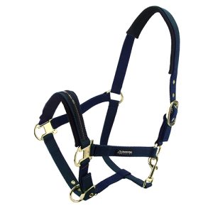 Horse Halter - Cob - Blue
